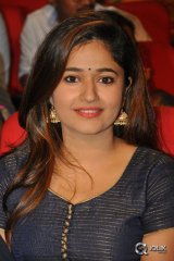 Poonam Bajwa At Thikka Movie Audio Launch